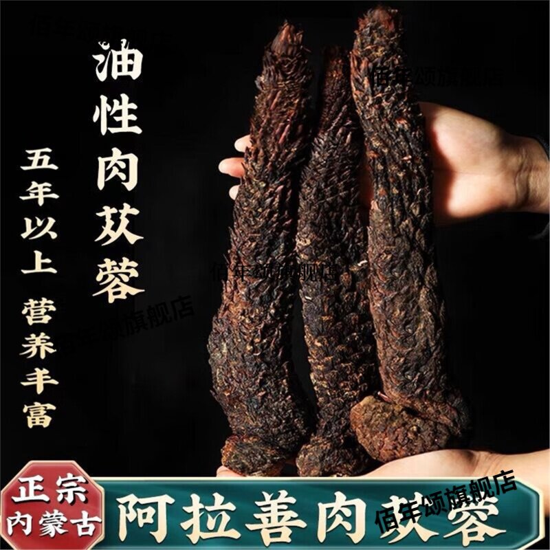 内蒙古阿拉善肉苁蓉整根特