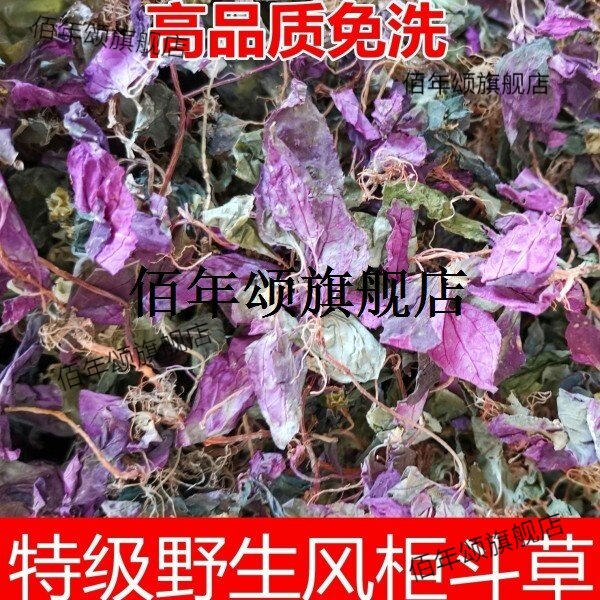 新鲜野生楮头红贵州中草药