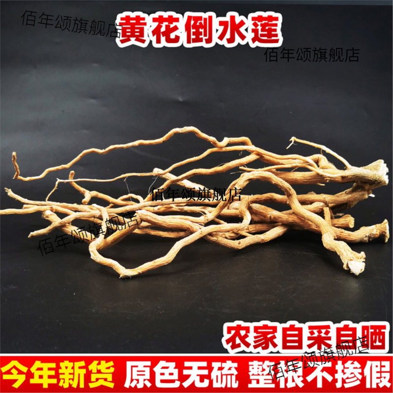 云南野生黄花倒水莲新货无