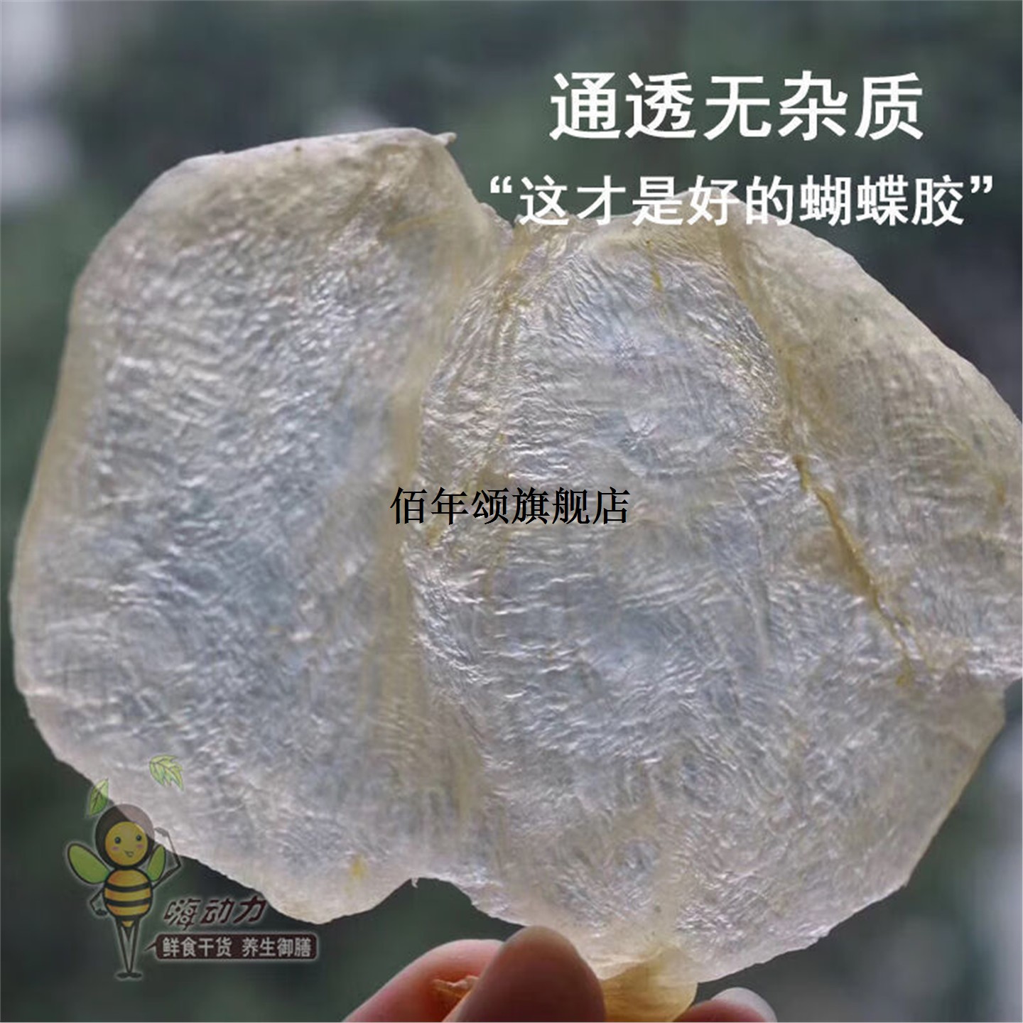蝴蝶胶鱼孕妇泡花干货深