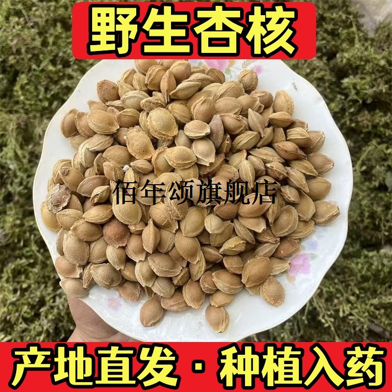 山东野生苦杏核籽树种子材