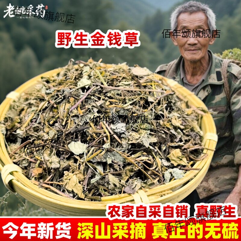 云南野生金钱草材小马蹄