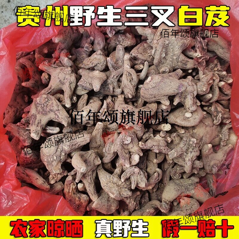 贵州野生白笈材药片农家自