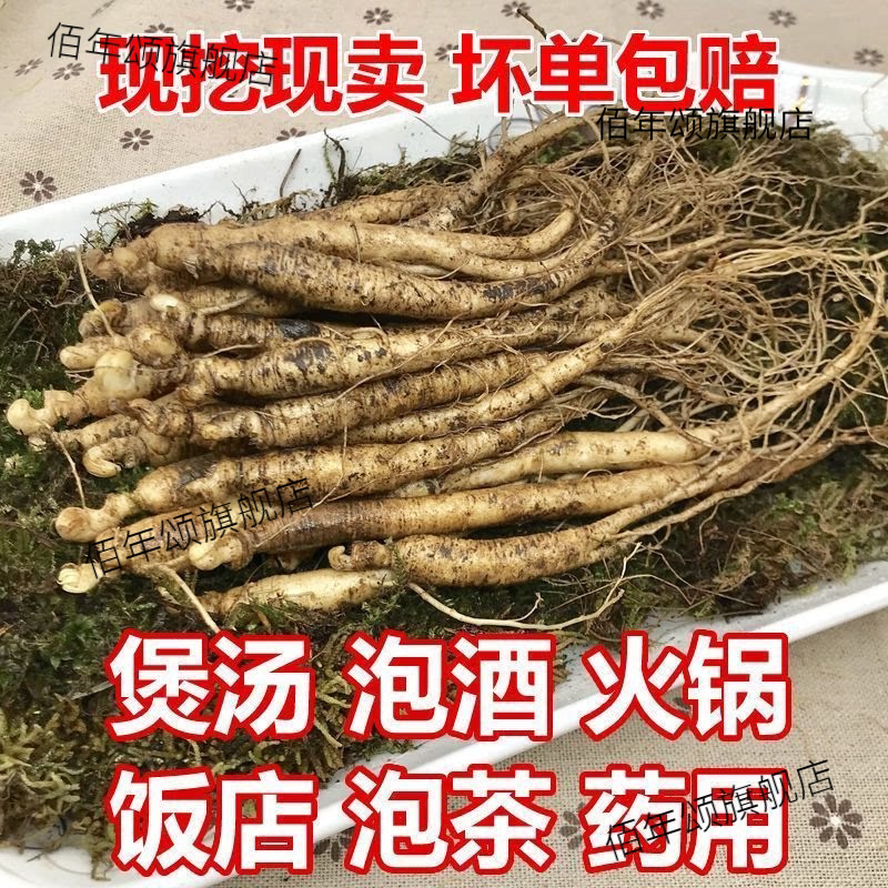 长白山鲜人参带土煲汤泡酒
