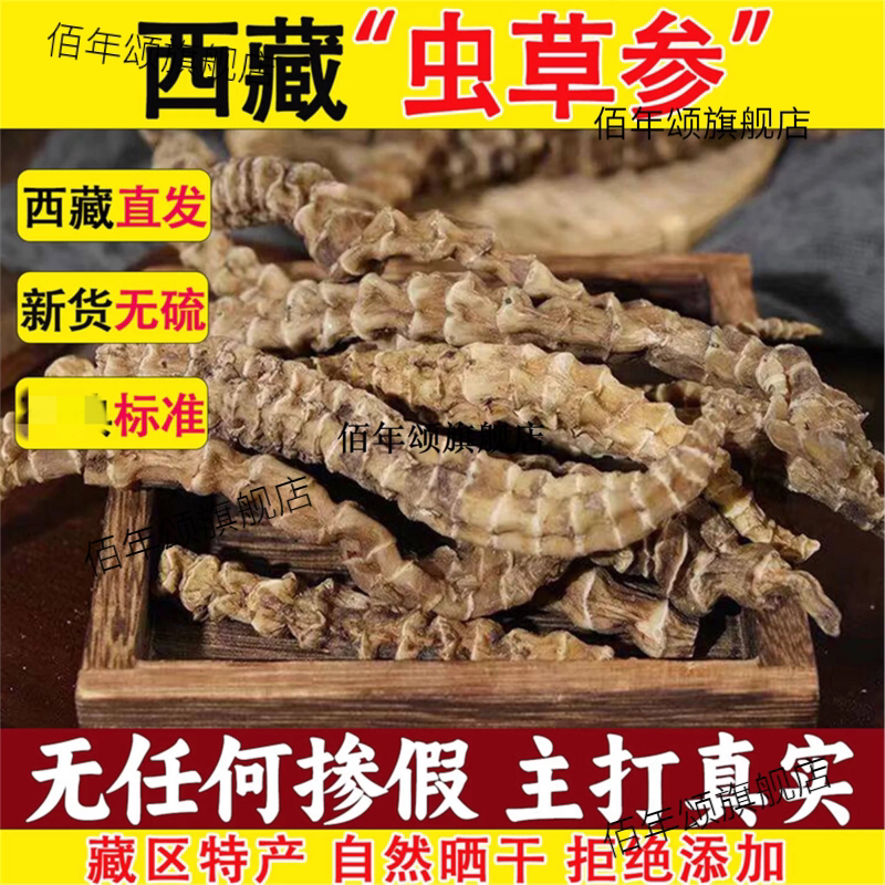 西藏直发野生虫草参材500g
