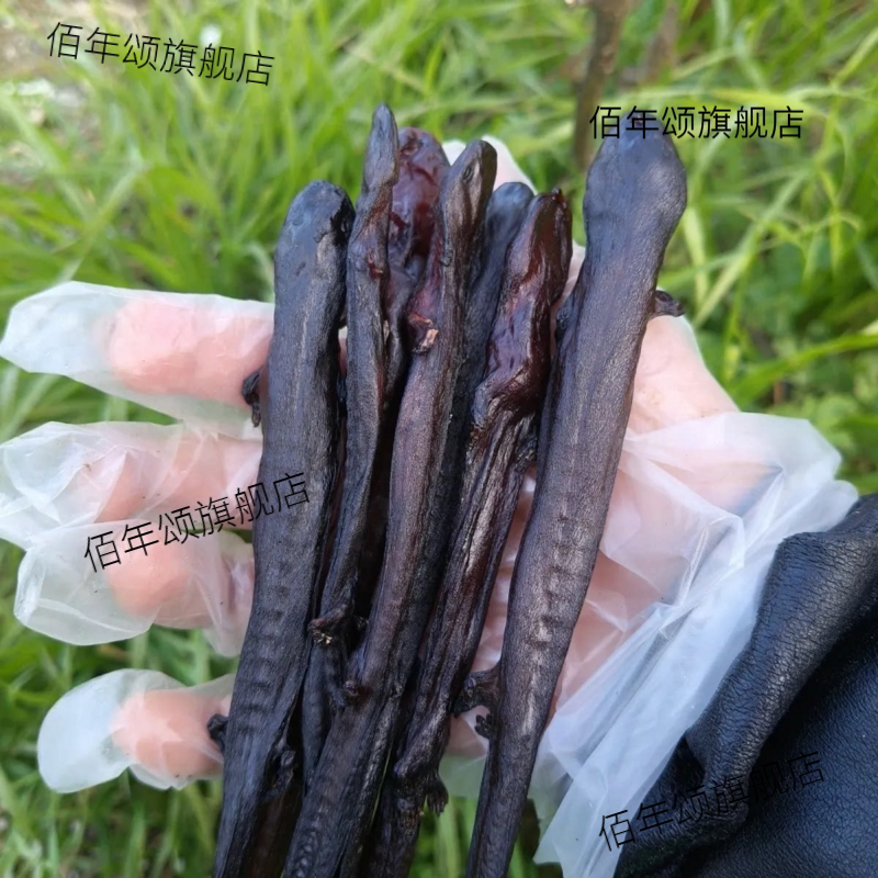 养殖娃娃鱼干自然风干新疆包邮