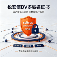 (国产根)锐安信DV多域名国产根SSL证书通配符IP网站HTTPS加密TLS