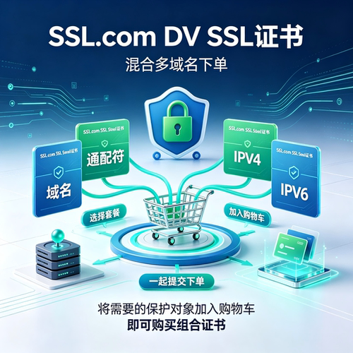 SSL.com DVSSL证书支持域名通配符IPv4 IPv6混合站点HTTPS安全tls