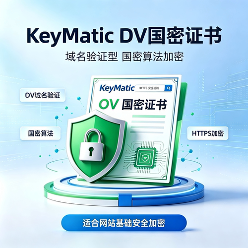 Keymatic国密DV SSL证书国密SM2算法域名验证型网站加密证书https