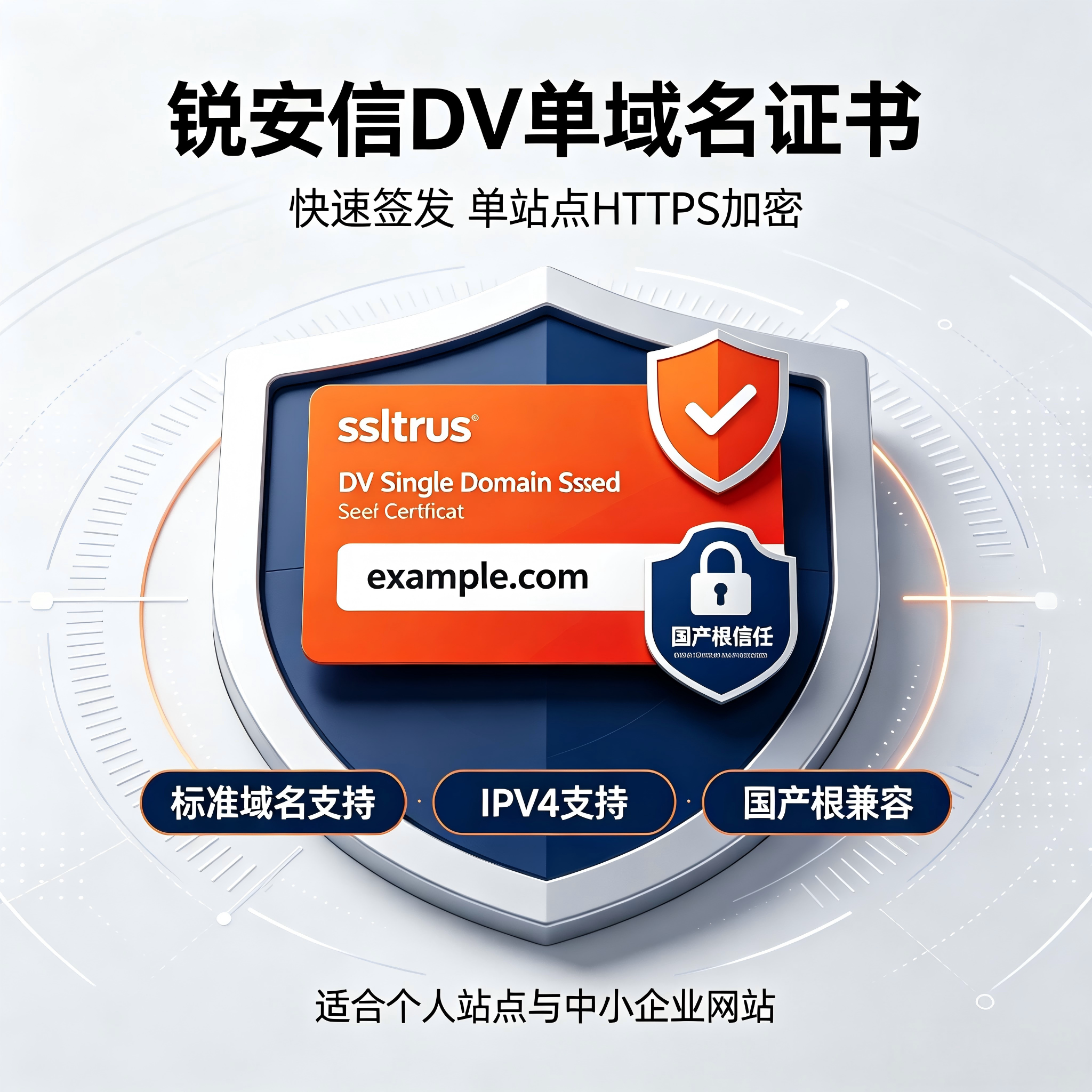 (国产根)锐安信DV单域名SSL证书IPV4网站HTTPS加密安全TLS安全证