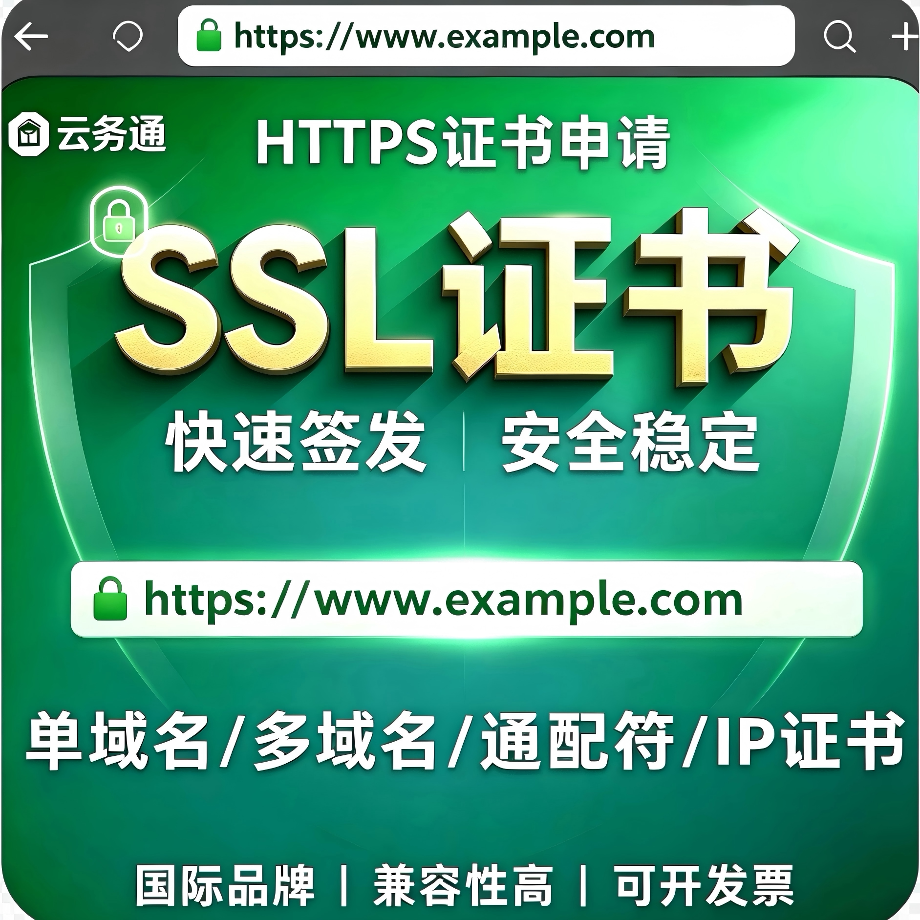 SSL证书HTTPS通配符DV单域名IP证书宝塔外贸网站安全认证协助部署