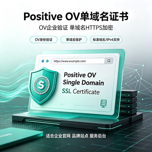 Positive OV单域名SSL证书企业认证域名IPv4网站HTTPS安全TLS加密