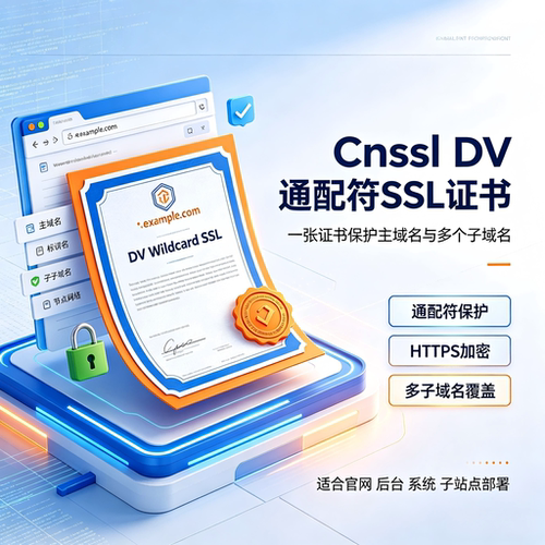 Cnssl DV通配符SSL证书多子域名网站HTTPS全站加密安全数字证书