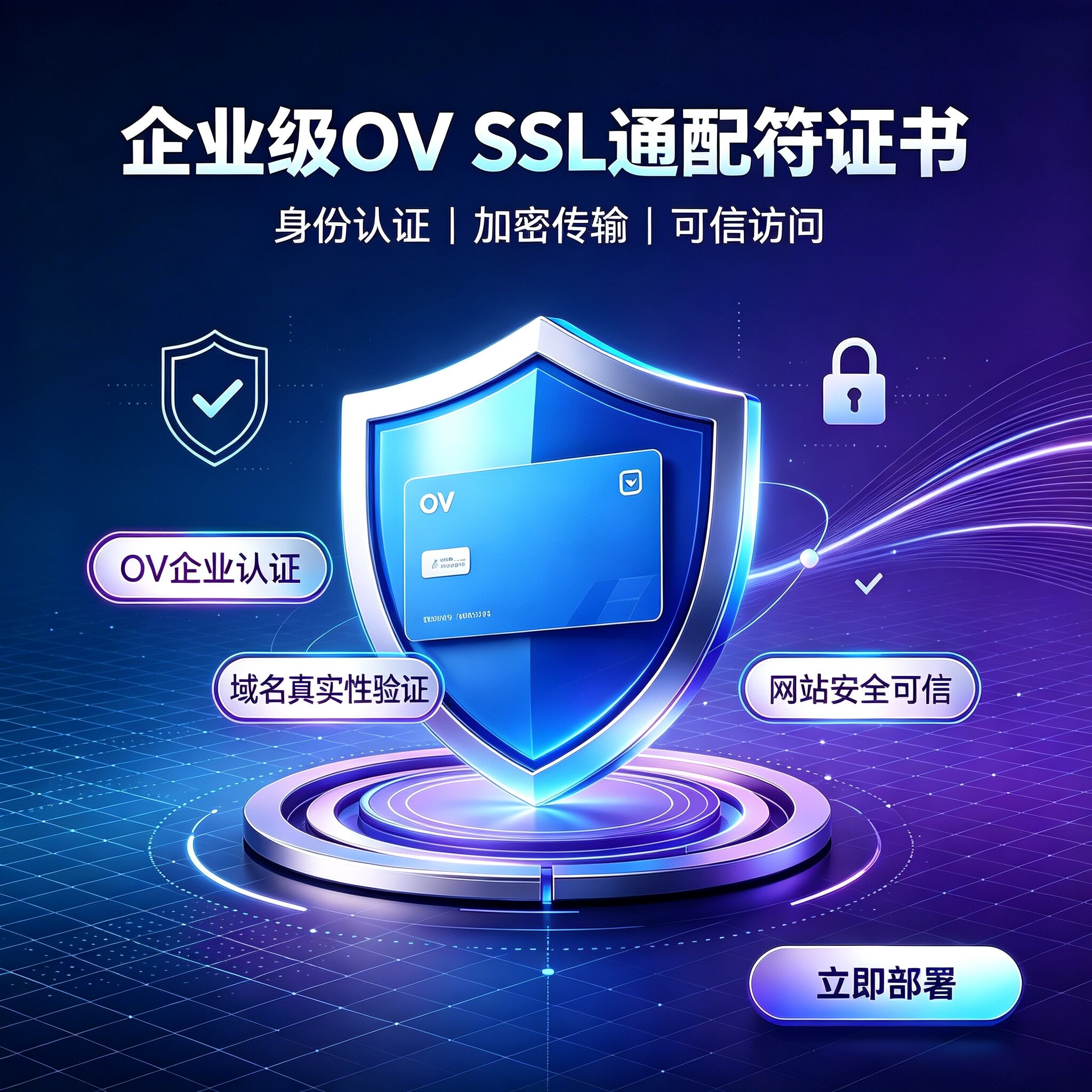 企业级OV通配符SSL企业验证证书全站子域名HTTPS加密可信数字认证