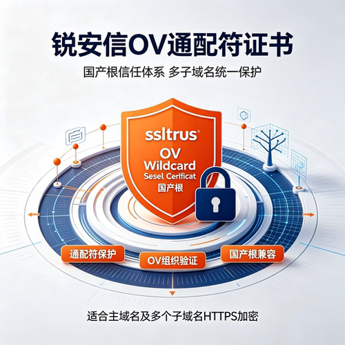 (国产根)锐安信OV通配符SSL证书企业全站子域名HTTPS加密安全TLS