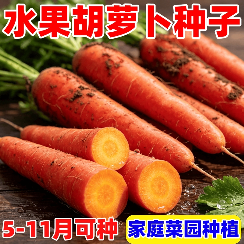 九寸三红胡萝卜种子水果蔬菜萝卜菜籽脆甜春秋季田园蔬菜种子