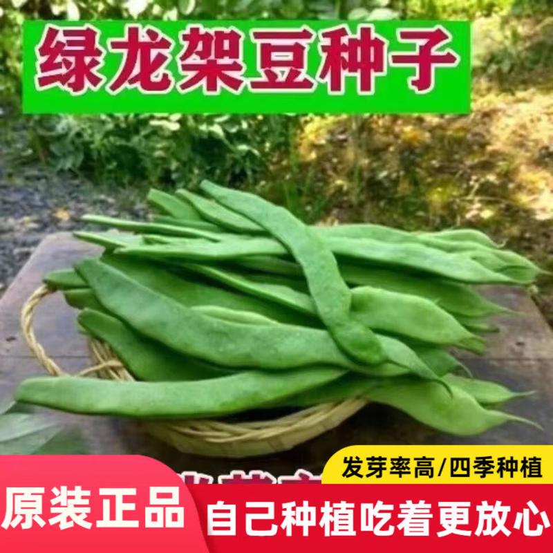绿龙架豆王种子无筋豆秧苗种籽宽扁豆春季春季蔬菜种子抗干旱