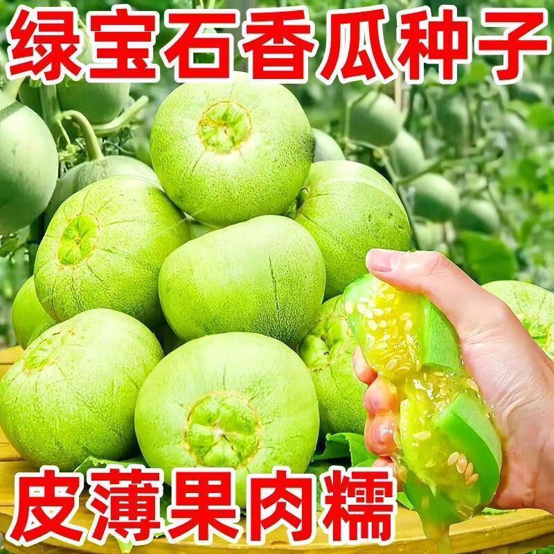绿宝石甜瓜种子超甜薄皮香瓜冰糖春季脆瓜高青皮产香瓜种子