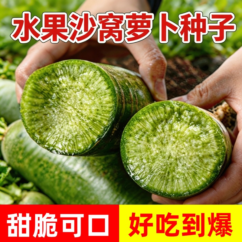 天津沙窝萝卜种子甜脆美味里外青水果型赛鸭梨露地盆栽播种子