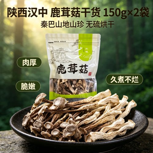 陕西汉中鹿茸菇干货 鹿茸菌脆脆菇 炒菜煲汤农家食用菌特产干货