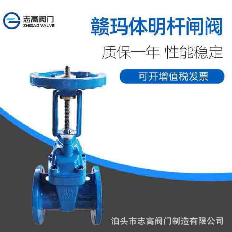 Z41X-16Q球墨铸铁法兰软密封闸阀赣玛体明杆DN300锁闭图片