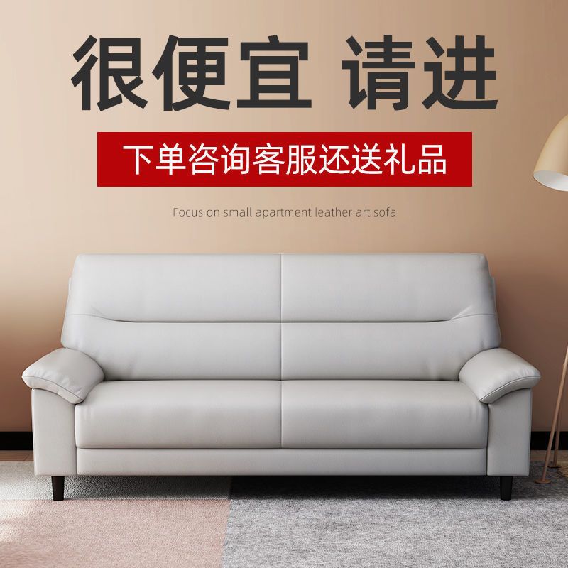 现代简约真皮沙发客厅小户型沙发三人位北欧双人沙发组合厂家直销图片