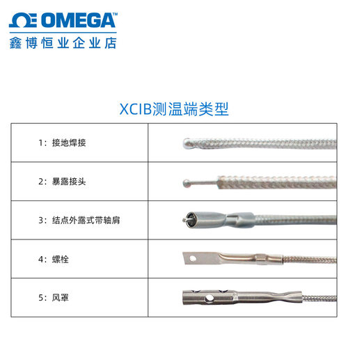 XCIB-K-1-5-10 美国高温用表面测温热电偶探头 K型 XCIB 线热电偶
