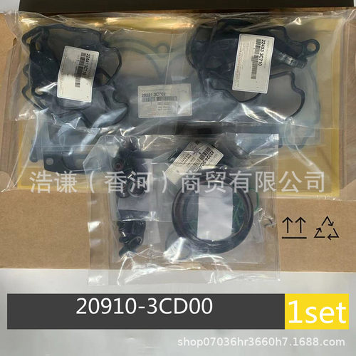 适用于韩系汽车霸锐3.8发动机大修包209103CD00