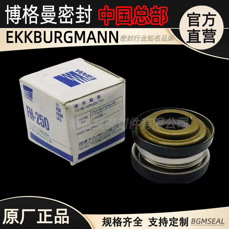 日本EBARA荏原FH-150/FH-200原装FS-FSD-FQD-FSDNLPD泵机械密封机图片
