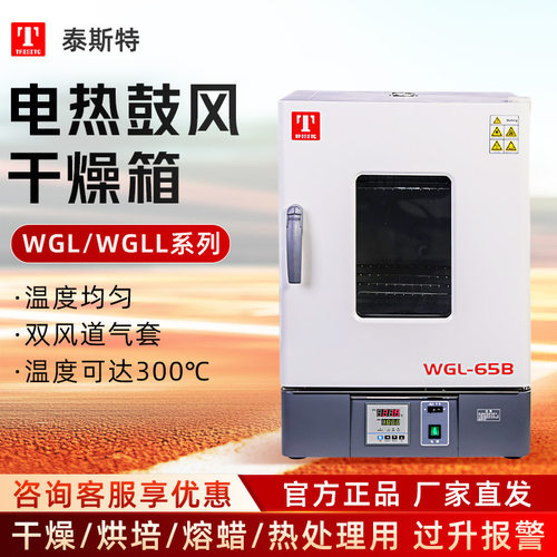 天津泰斯特WGL65B/WGLL65BE系列 烘箱300度电热恒温鼓风干燥箱