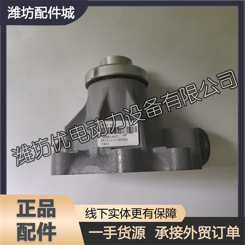 适用于潍柴道依茨226B/WP6柴油发动机装载机收割机水泵1000054021