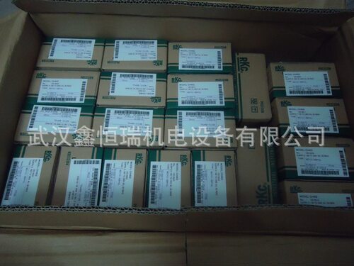 RKC温控表CH402FK02-MM*AN现货 双继电器输出