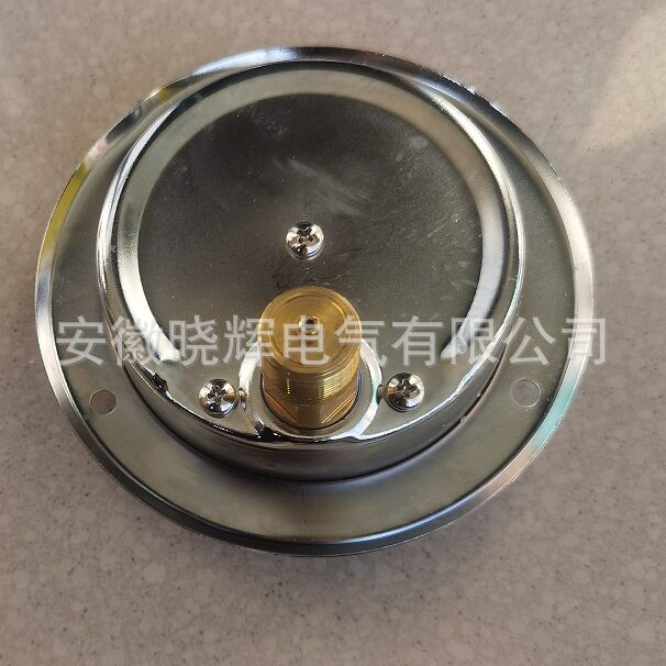 YN-100ZT黄铜接头螺纹轴向带边嵌装式耐震压力表不锈钢表壳Y-100B图片
