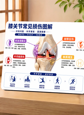 膝关节损伤科普图解桌面摆件