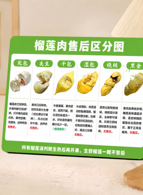榴莲售后科普门店展示摆件