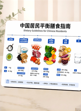 中国居民平衡膳食指南桌面摆台健康饮食参考厨房客厅装饰提示摆件