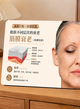 简约美容院肌肤分层抗衰科普展示桌面摆件美业门店装饰摆台