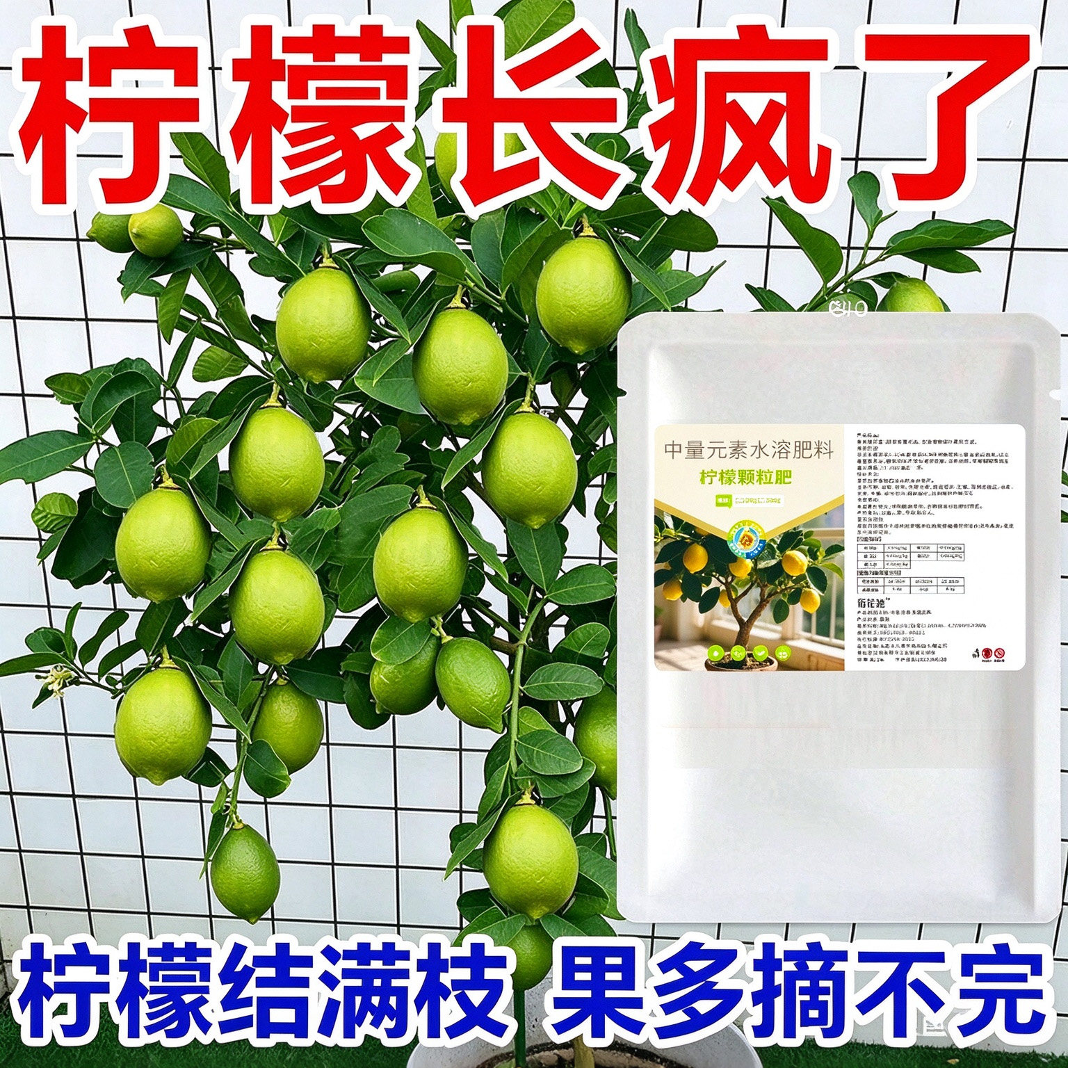 柠檬树专用颗粒缓释肥生根果