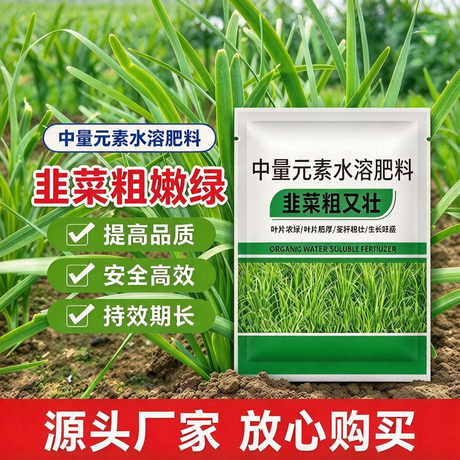 韭菜专用叶面肥壮根防干尖黄叶