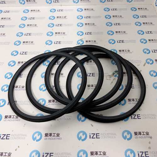 B+S旋转密封圈TG3200900-T40N