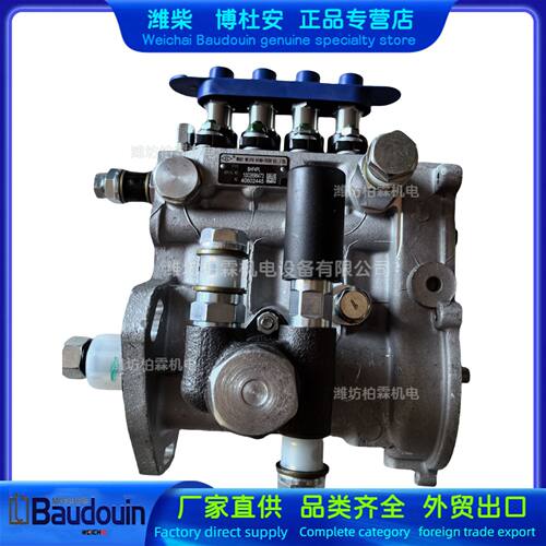 潍柴WP2.3 4M06柴油发动机原厂正品1003896473电调喷油泵总成