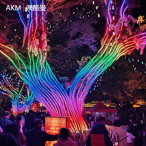 LED户外柔性灯带幻彩变色可编程景区广场树木亮化装饰引流灯光