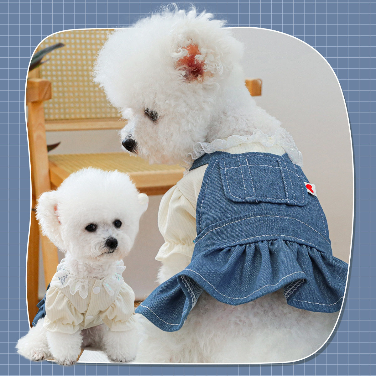 宠物圈狗狗服装猫猫衣服口袋集合狗宠物服装/雨衣