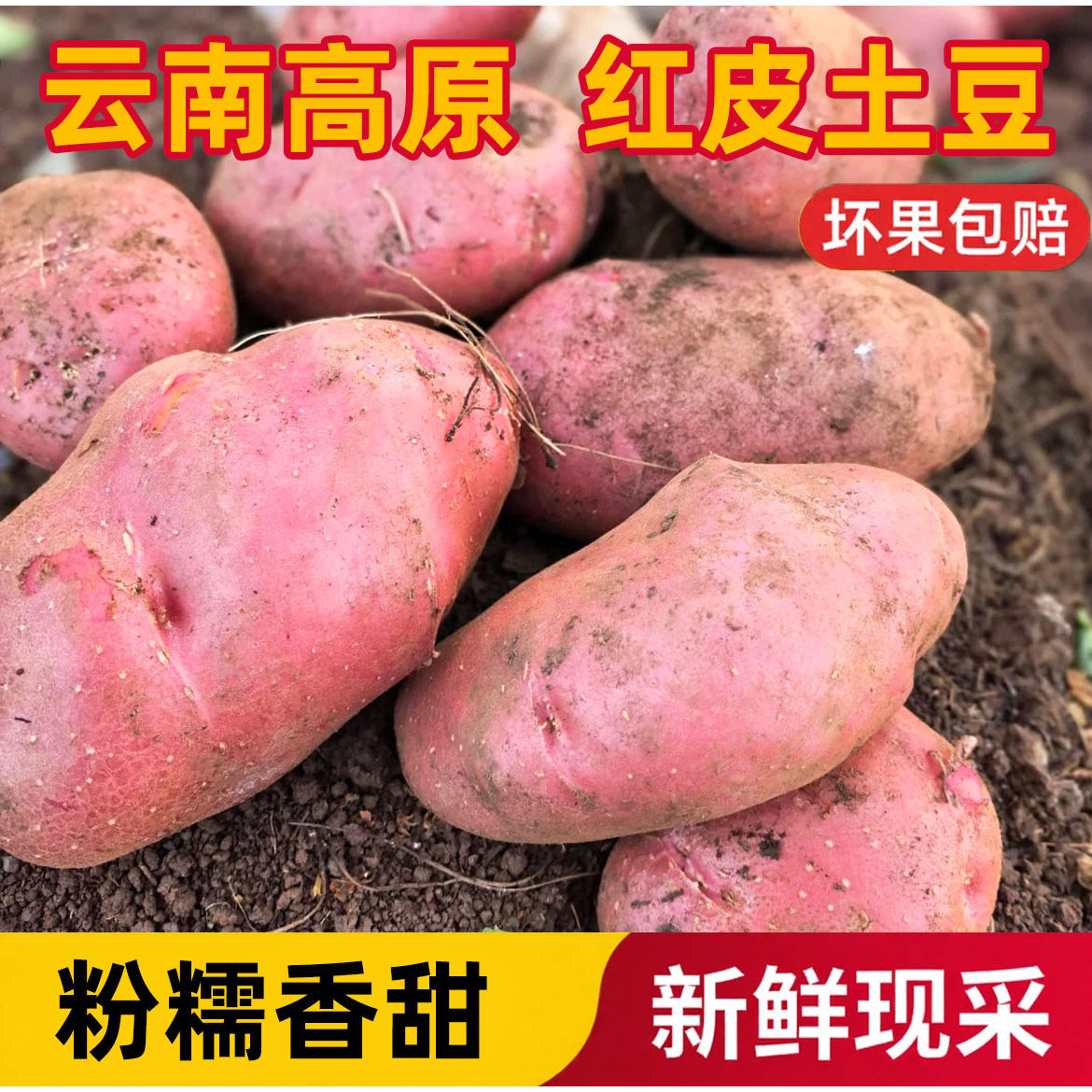 蔬鲜嫂 云南红皮土豆现挖新鲜小土豆农家蔬菜洋芋自种马铃薯批发