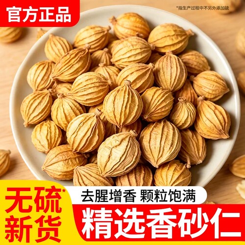 四川宜宾香砂仁调料500克川砂仁