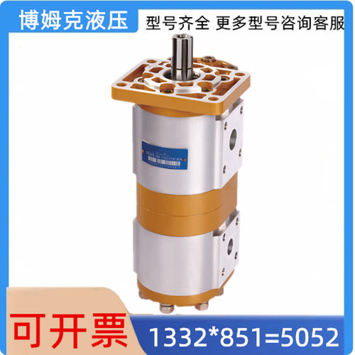 长源款双联齿轮泵CBNL-F550/F520-BFP环卫车CBNL-F563/532-BFHL