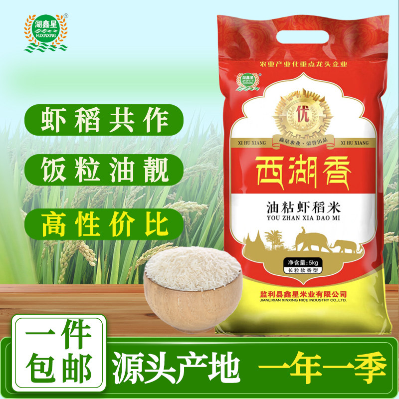 湖鑫星 西湖香油粘虾稻米10斤 南方籼米 油粘米长粒大米长粒香米图片