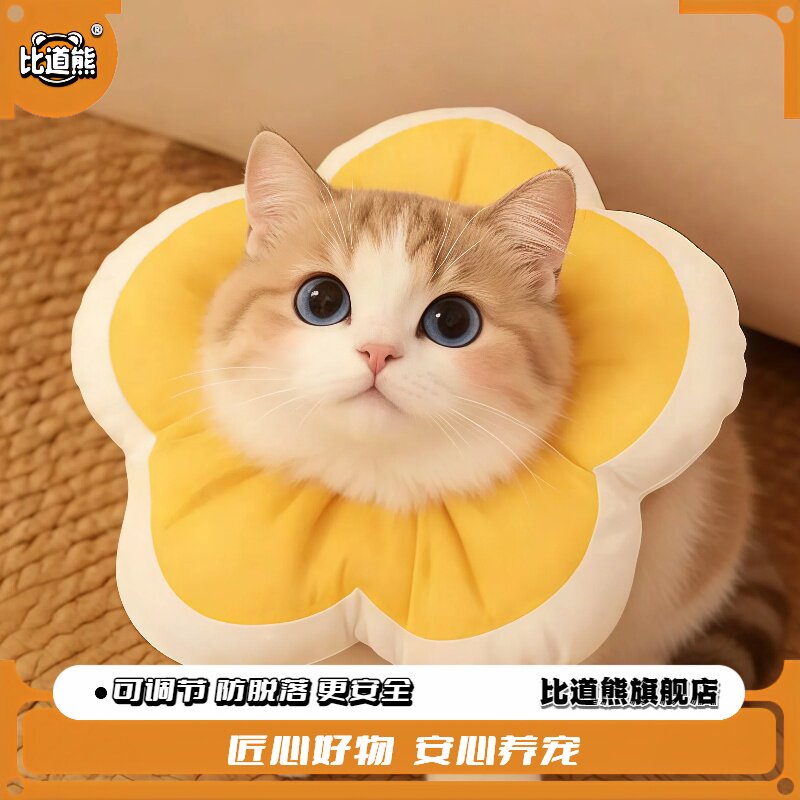 【比道熊】猫咪狗狗伊利沙白脖 宠物伊丽莎白圈