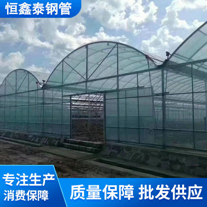 蔬菜大棚管农业用大棚骨架大棚管椭圆管使用年限长镀锌管钢管批发