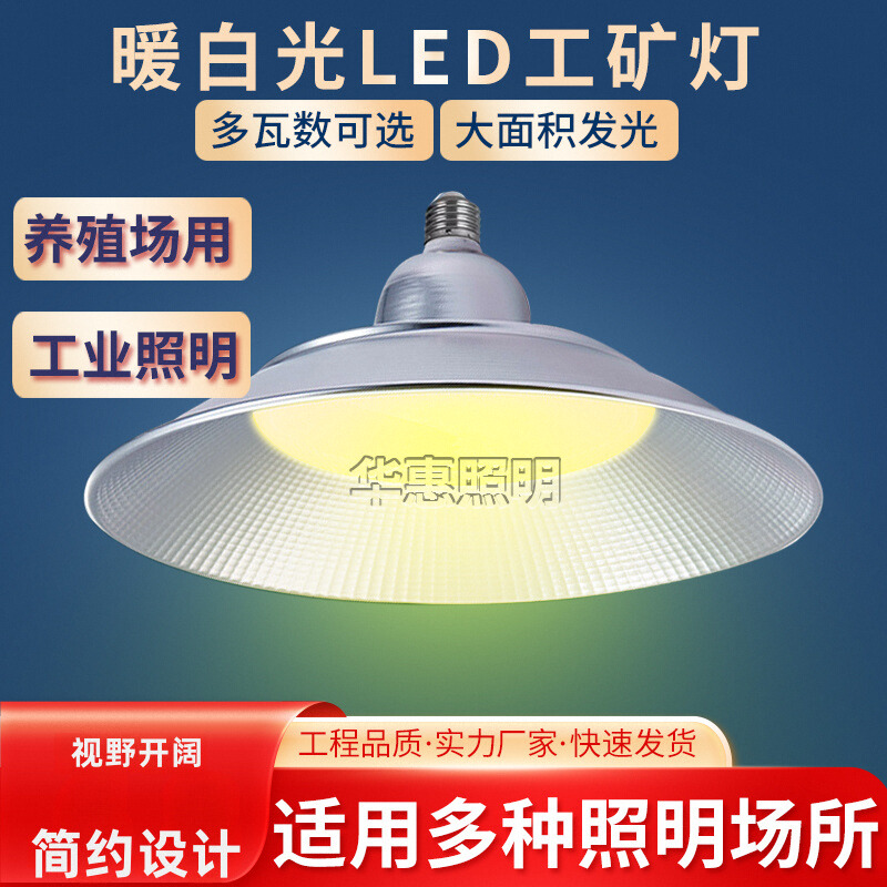 养殖场舍鸡棚猪场led工矿灯